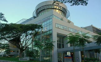 新加坡留学中介 助力自费出国留学，成就国际化教育梦想